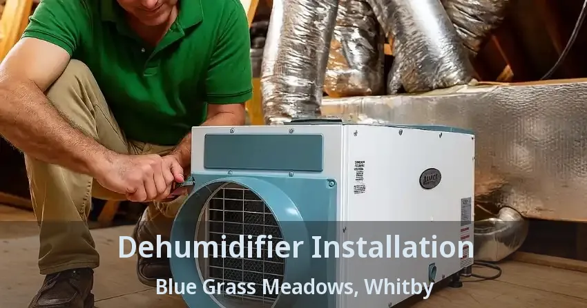 Dehumidifier Installation Blue Grass Meadows, Whitby - ON