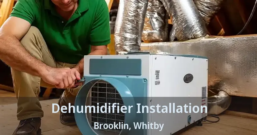 Dehumidifier Installation Brooklin, Whitby - ON
