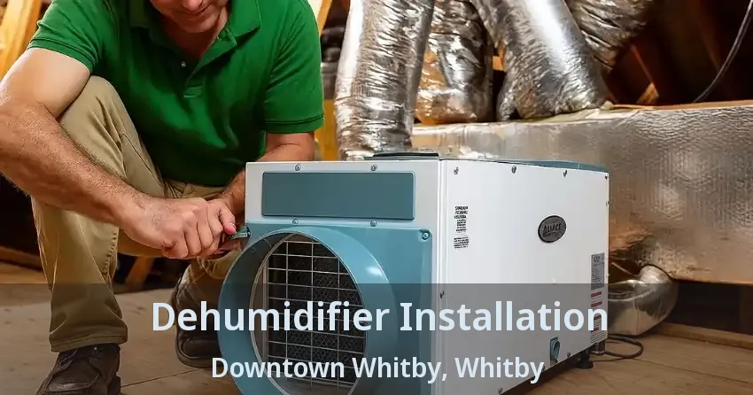 Dehumidifier Installation Downtown Whitby, Whitby - ON