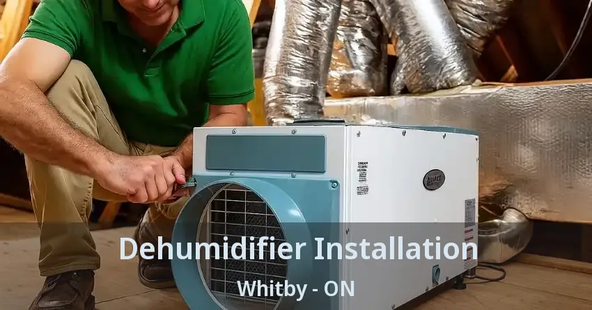 Dehumidifier Installation Whitby - ON
