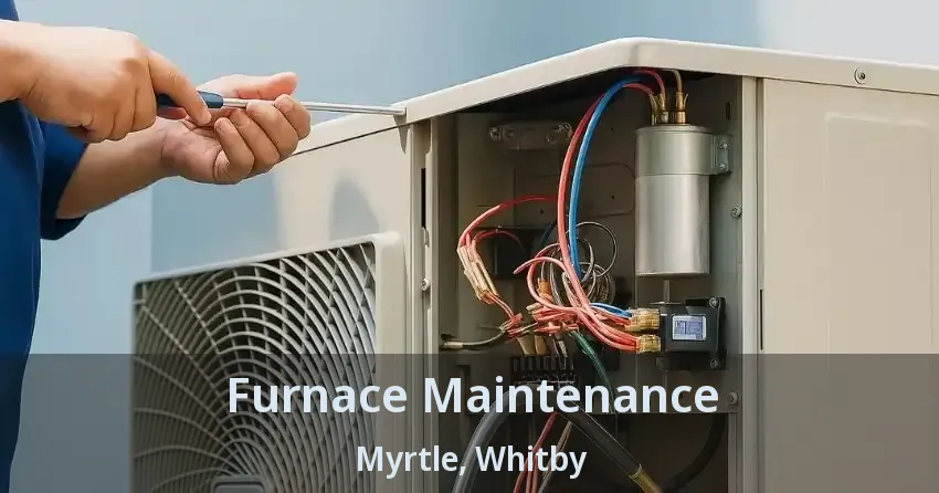 Furnace Maintenance Myrtle, Whitby - ON