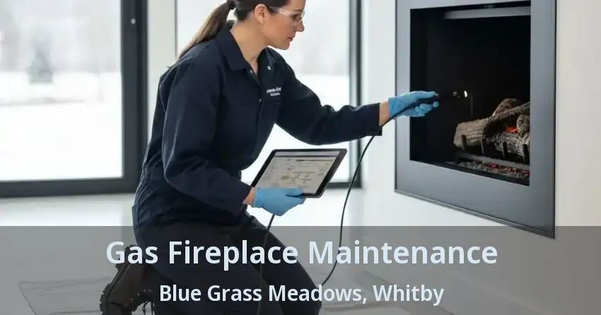 Gas Fireplace Maintenance Blue Grass Meadows, Whitby - ON