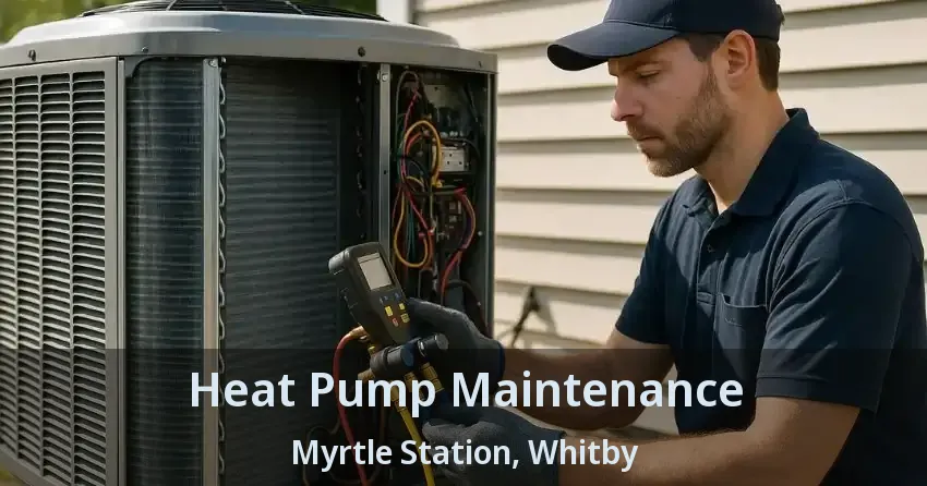 Heat Pump Maintenance Myrtle Station, Whitby - ON