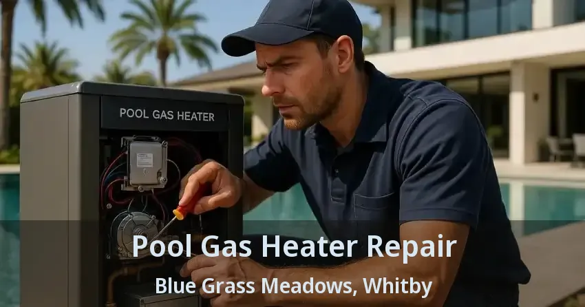 Pool Gas Heater Repair Blue Grass Meadows, Whitby - ON